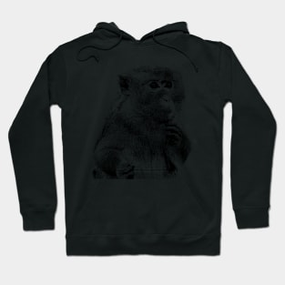 Monkey business of eating on sky blue Hoodie